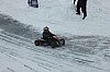 IMG_1081.jpg